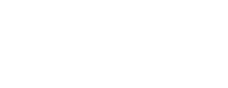 Wild Paradise Design | Website Design